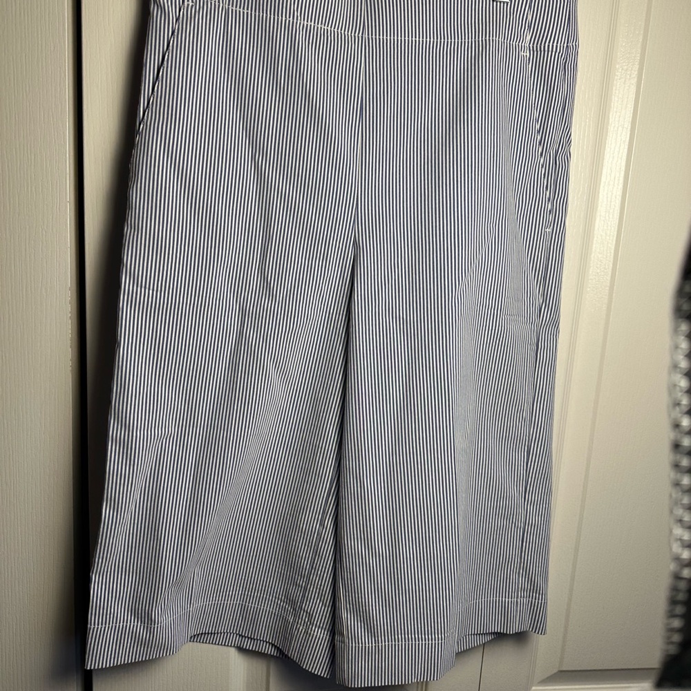 Counterparts Blue and White Striped Capris